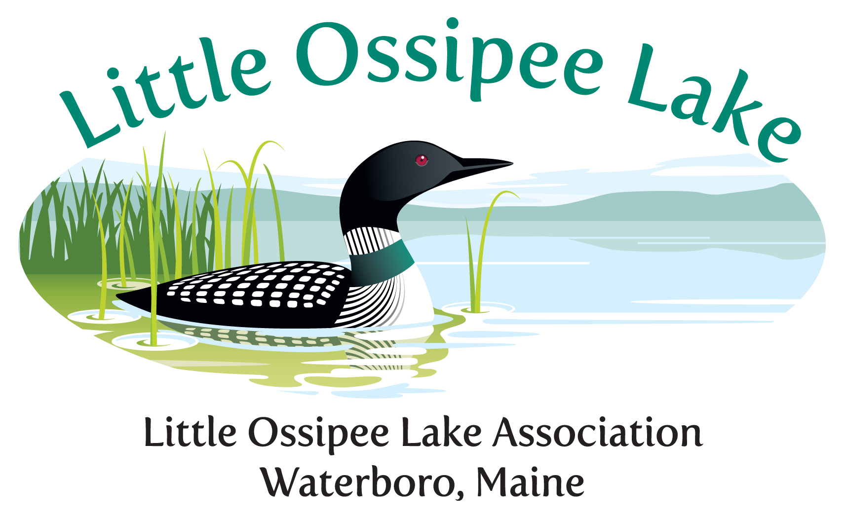 Little Ossipee Lake Association